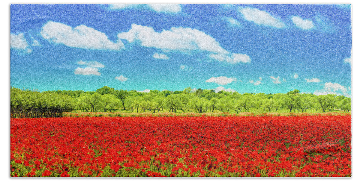 Texas Beach Towel featuring the photograph Texas Red Poppies by Darryl Dalton