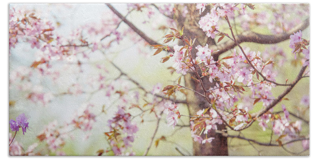 Jenny Rainbow Fine Art Photography Beach Sheet featuring the photograph That Tender Joyful Spring by Jenny Rainbow