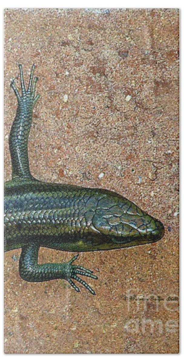 Tailless Skink Beach Sheet featuring the photograph The Alien Visitor by Patricia Griffin Brett
