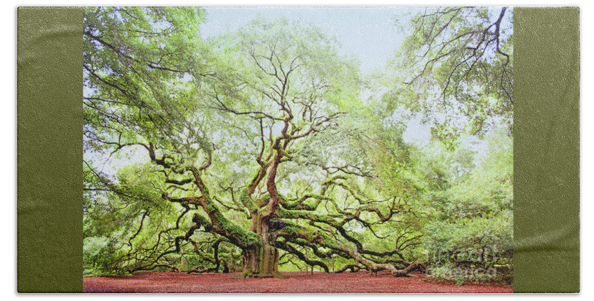Angel Oak Beach Towel featuring the photograph The Angel Oak Tree by Sharon McConnell