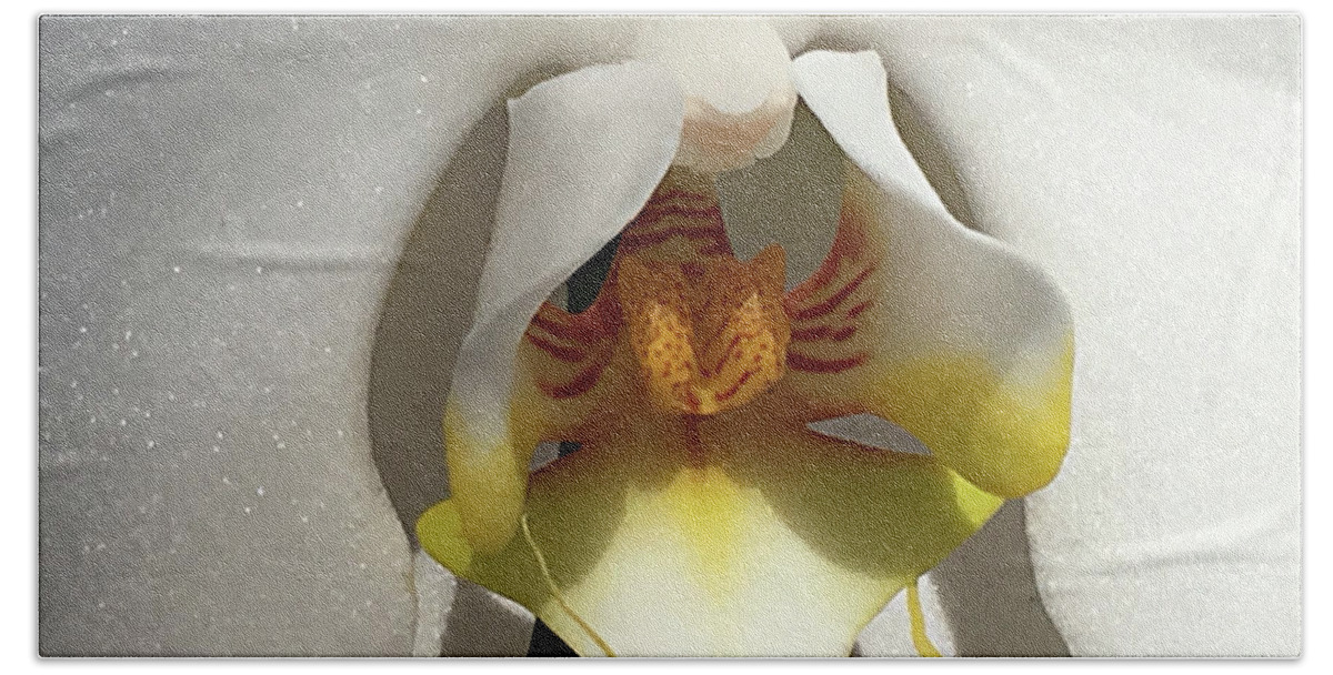 Orchid Beach Towel featuring the photograph The Art of an Orchid by Sherry Hallemeier
