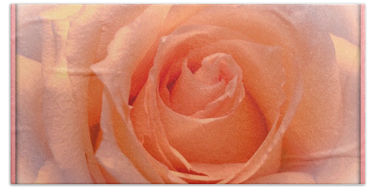 Photograph Beach Towel featuring the photograph The Beauty Of A Rose copyright Mary Lee Parker 17, by MaryLee Parker