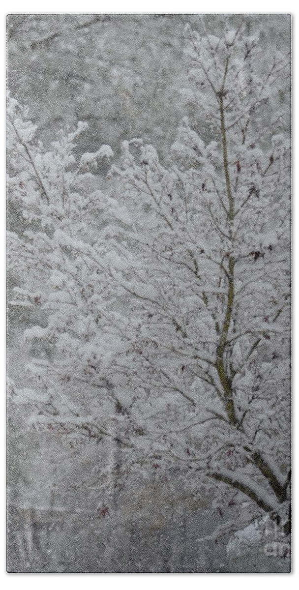The Beauty Of A Winter's Snow Beach Towel featuring the photograph The Beauty of a Winter's Snow by Maria Urso