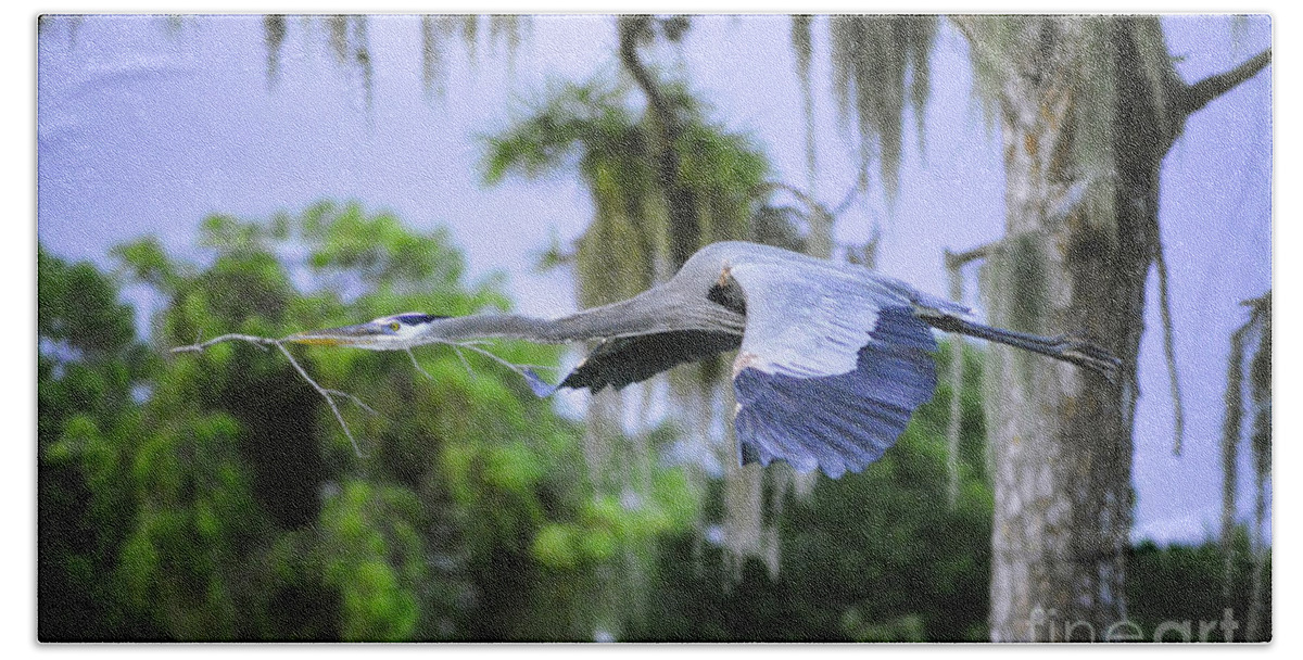 Great Blue Heron Beach Towel featuring the photograph The Beauty of Flight by Quinn Sedam