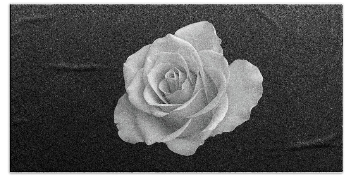 White Rose Beach Towel featuring the photograph The Beauty Of Rose. by Terence Davis