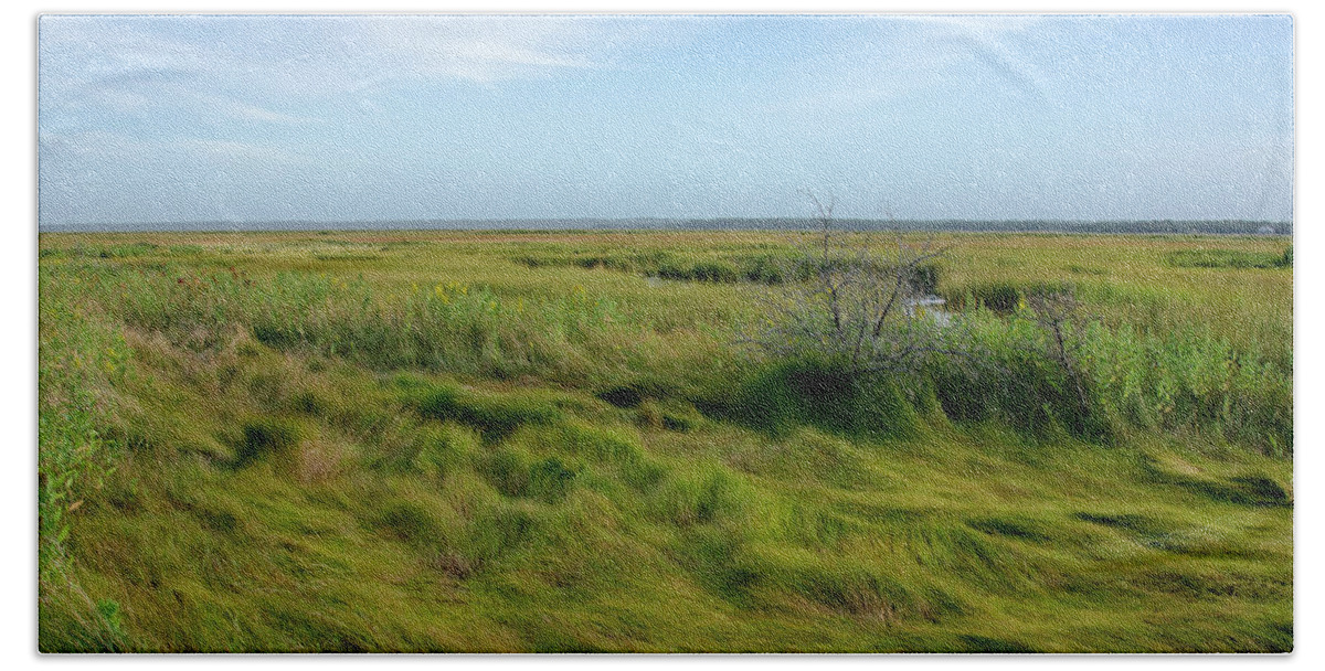 Cape Beach Towel featuring the photograph The Beauty of the Marsh by Donna Doherty