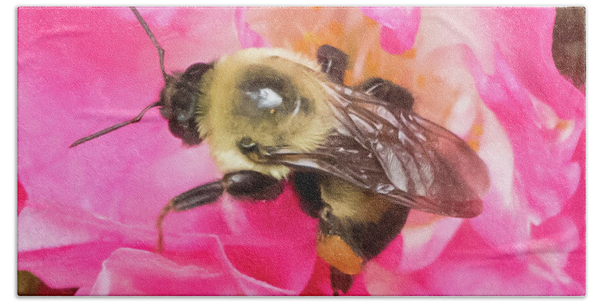 Pollen Beach Towel featuring the photograph The Bees Are Back In Town Signature Series by DiDesigns Graphics