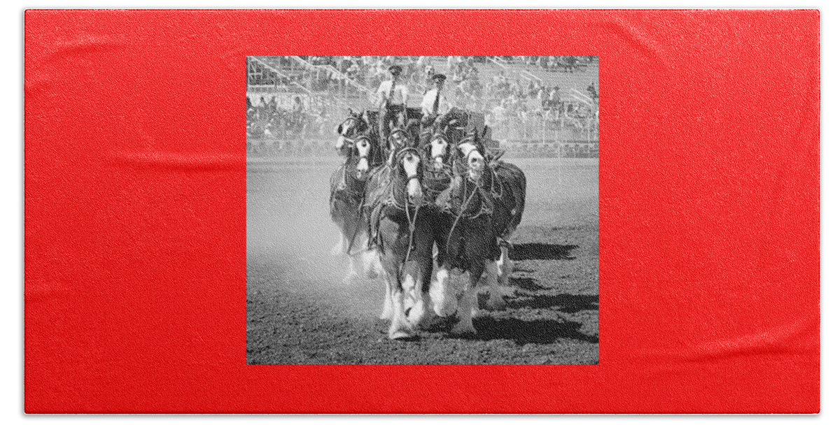 The Budweiser Clydesdales Beach Towel featuring the photograph The Budweiser Clydesdales by Maria Jansson