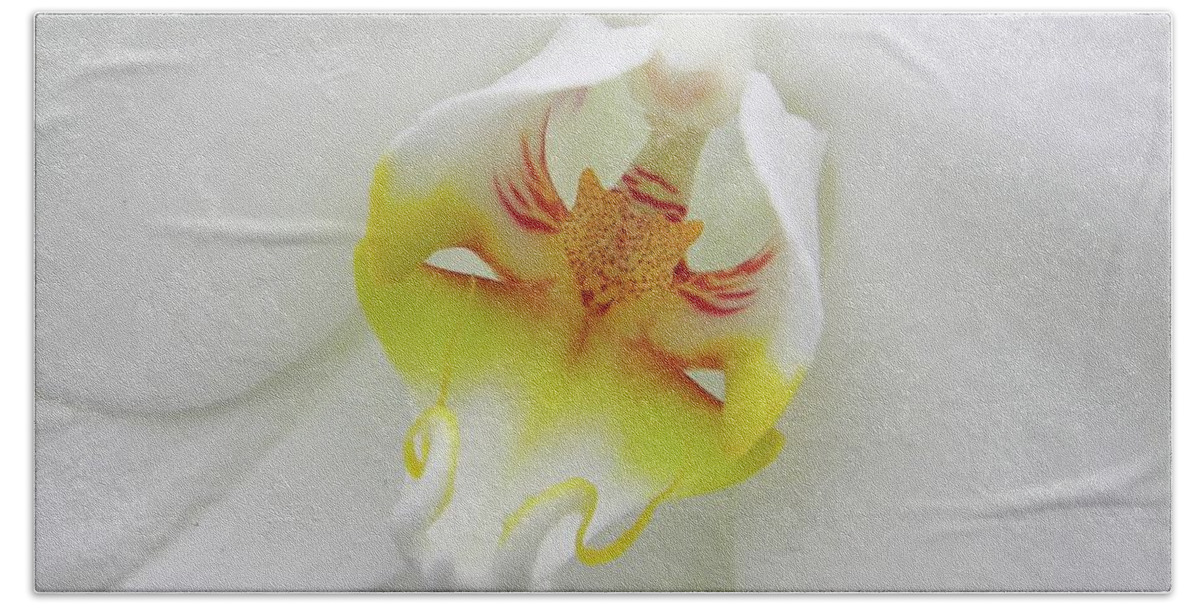 Orchid Beach Sheet featuring the photograph The cat side of an orchid by Manuela Constantin