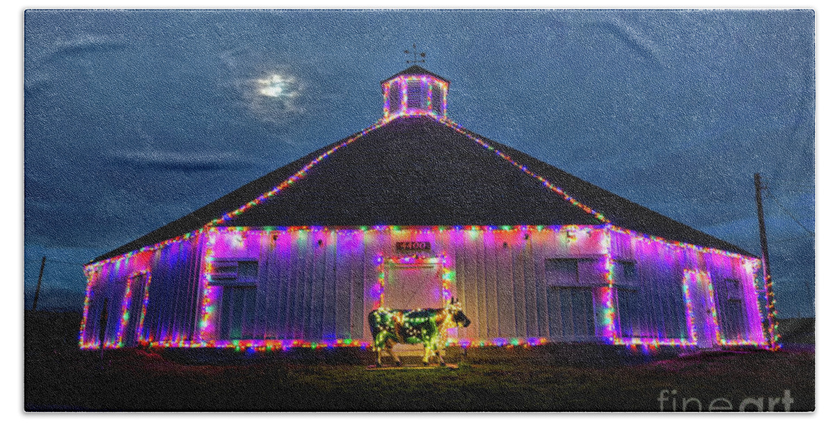 Christmas Beach Towel featuring the photograph The Cow Is Out Of The Christmas Barn by Mimi Ditchie