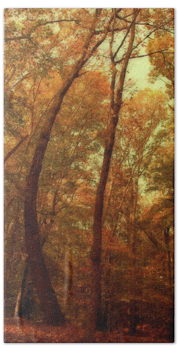 Autumn Beach Towel featuring the photograph The Curved Tree In The Woods by Angie Tirado