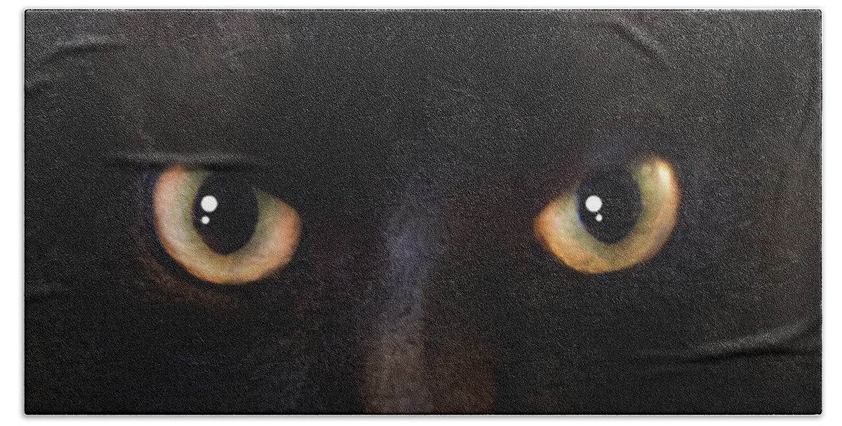 Dark Beach Towel featuring the photograph The Dark Cat by Gina Dsgn