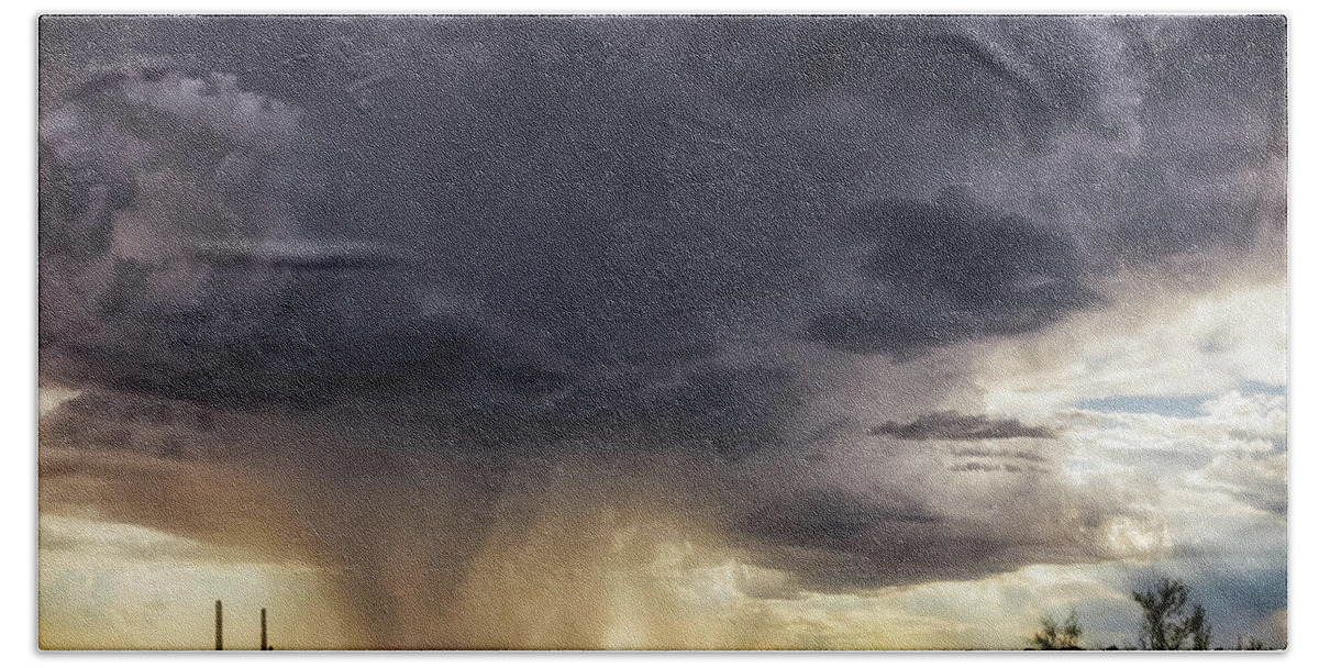 Arizona Beach Towel featuring the photograph The Day it Rained by Rick Furmanek