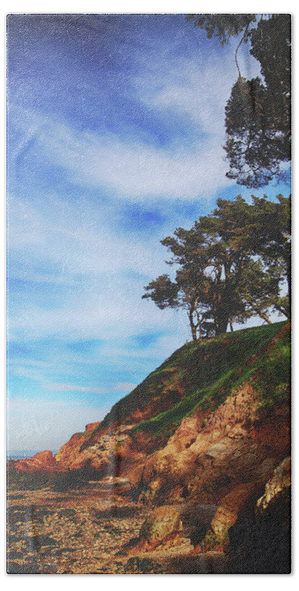 Coyote Point Recreation Area Beach Towel featuring the photograph The Dreams I've Seen Lately by Laurie Search