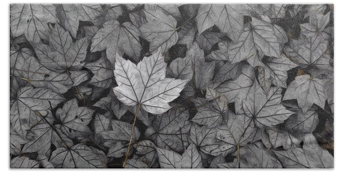 Leaf Beach Towel featuring the photograph The Fallen by Mark Fuller