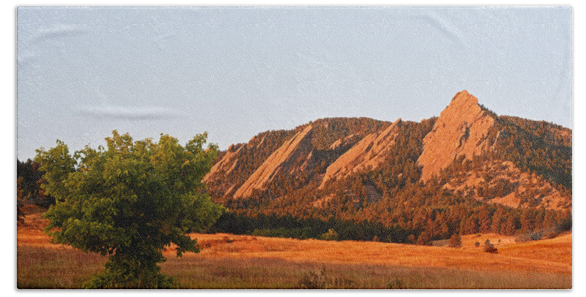 Boulder Beach Towel featuring the photograph The Flatirons Boulder Colorado from Chautauqua Park Tree by Toby McGuire