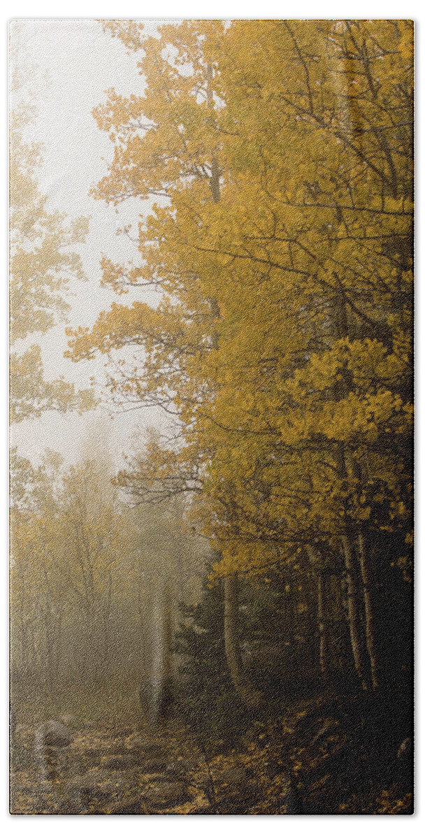 Fall Beach Towel featuring the photograph The foggy trail beckons by Alan Vance Ley