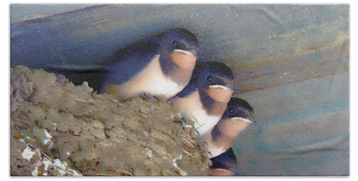Barn Swallow Beach Sheet featuring the photograph The Four Musketeers by Tami Quigley