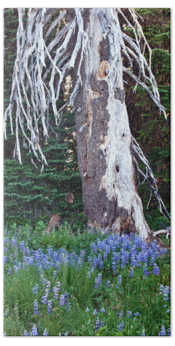 Tree Beach Towel featuring the photograph The Ghost Tree by Marla Craven