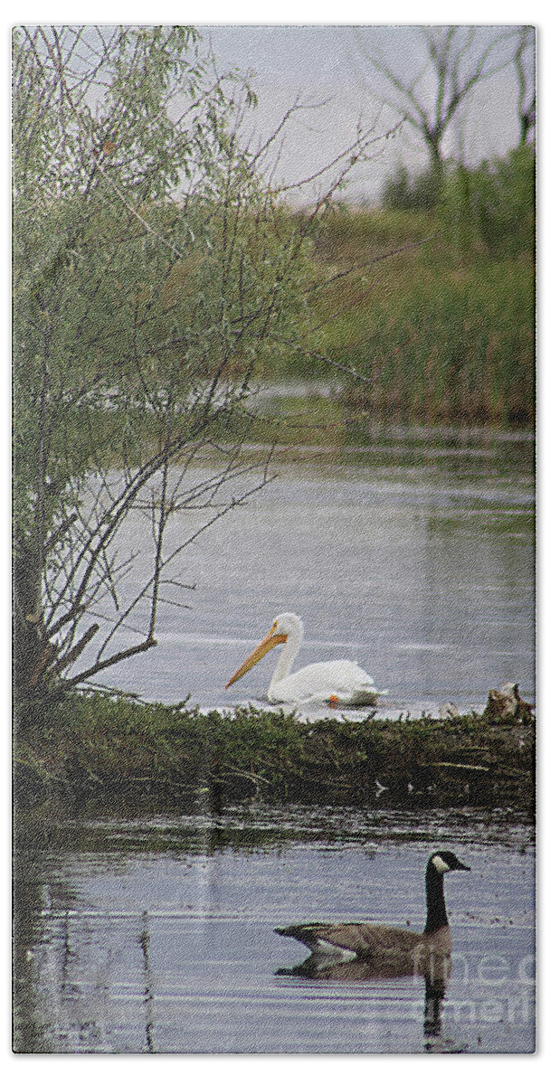 Goose Beach Sheet featuring the photograph The Goose and the Pelican by Alyce Taylor