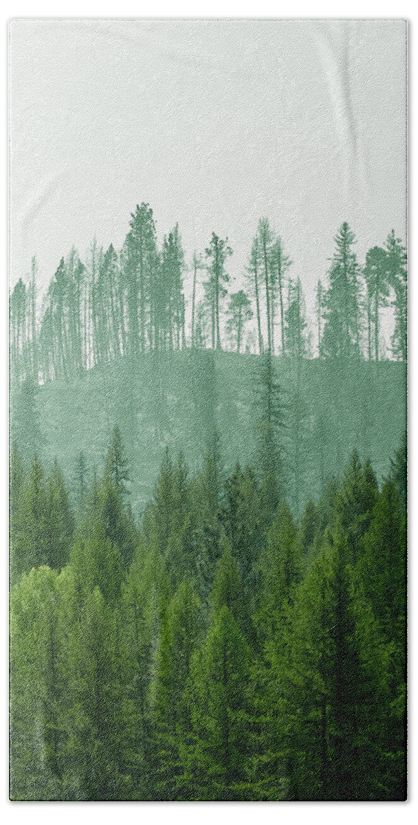 Ever Green Beach Towel featuring the photograph The Green and the not so Green by Troy Stapek
