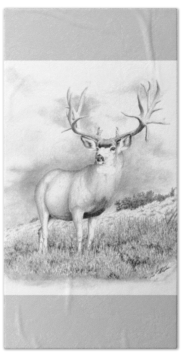 Mule Deer Buck Beach Sheet featuring the drawing The Greenwood Buck by Darcy Tate