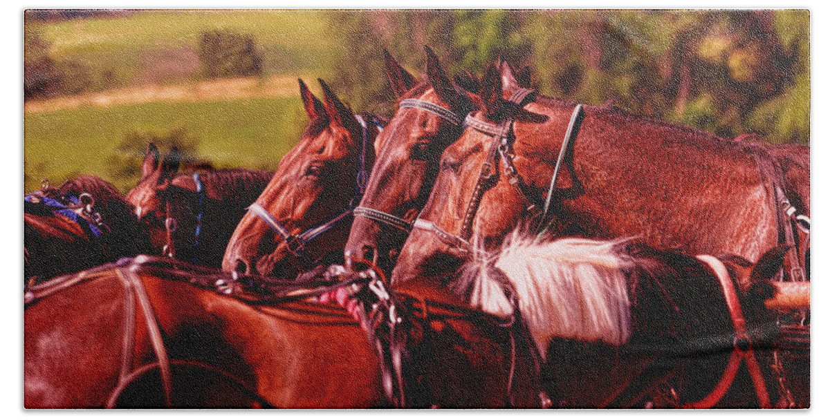 Horses Beach Towel featuring the photograph The Herd by Anthony Baatz
