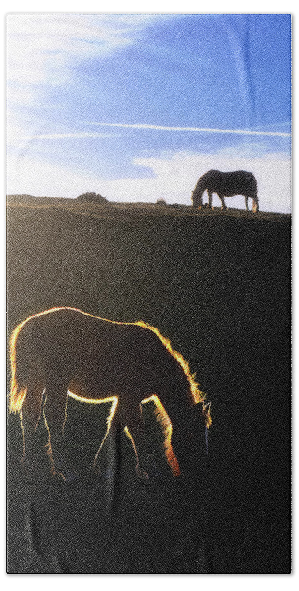 Horse Beach Sheet featuring the photograph The horse of golden hair by Mikel Martinez de Osaba