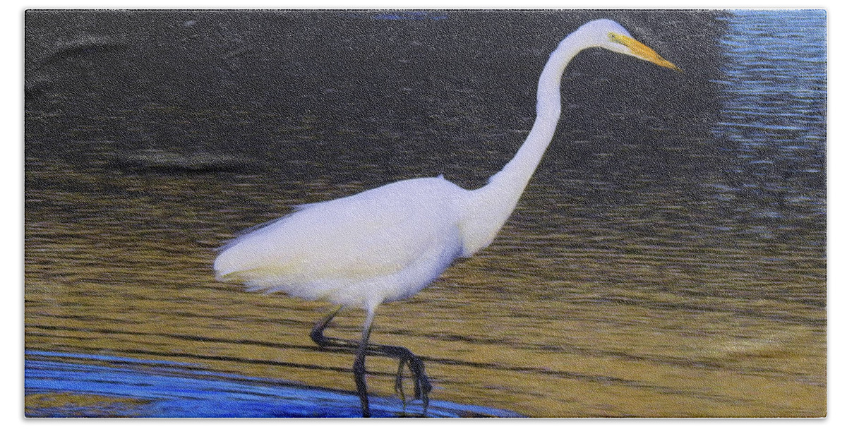 Great White Egret Beach Towel featuring the photograph The Hunt by Scott Cameron