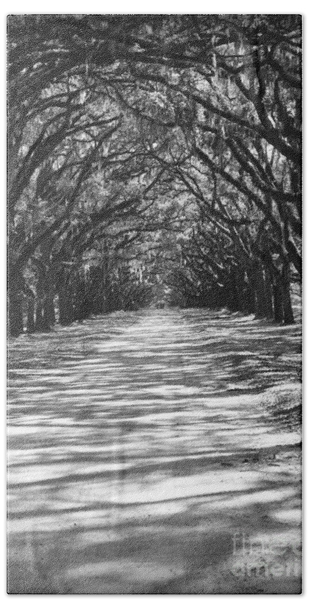 Georgia Beach Towel featuring the photograph Live Oaks Lane with Shadows - Black and White by Carol Groenen