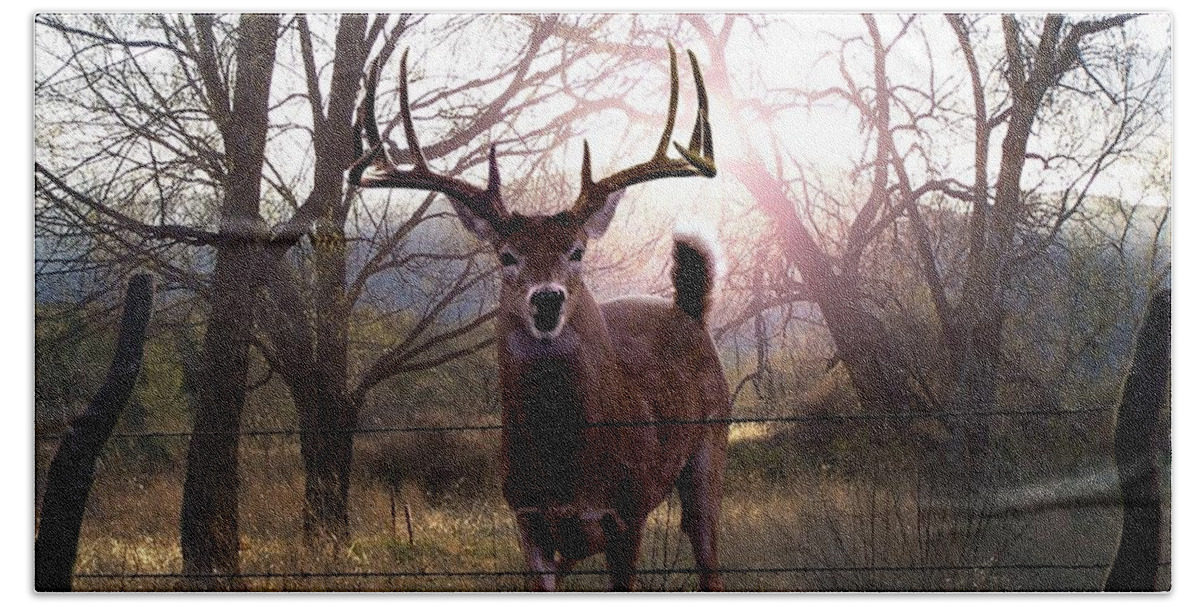 Whitetail Deer Beach Towel featuring the digital art The Leap by Bill Stephens