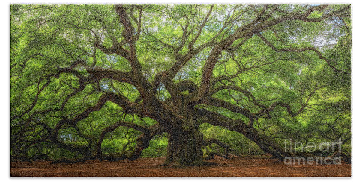 Angel Oak Tree Beach Sheet featuring the photograph The Magical Angel Oak Tree Panorama by Michael Ver Sprill