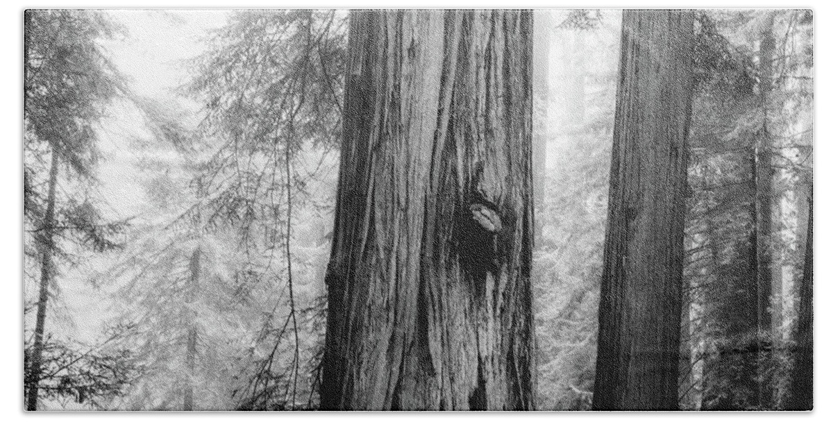 Redwood Beach Sheet featuring the photograph The Middle by Mark Alder