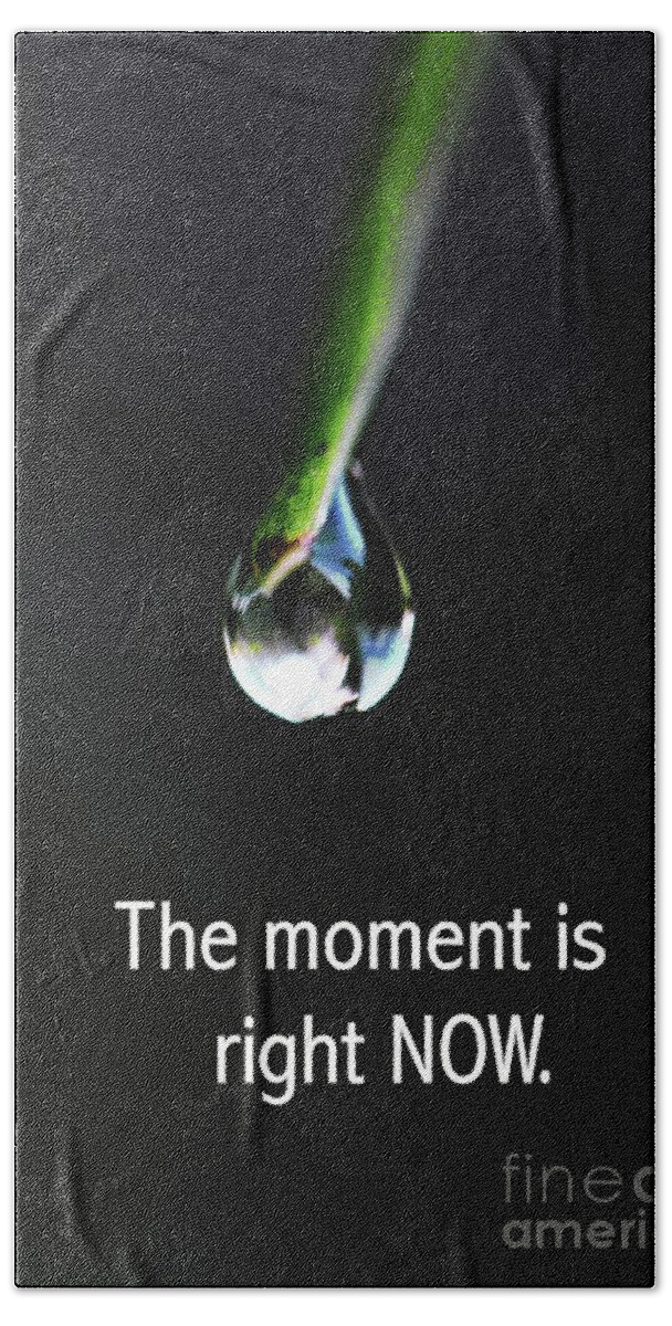 Photo Quote Beach Towel featuring the photograph The Moment by Tracey Lee Cassin