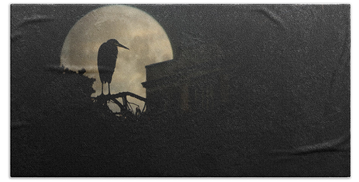 Heron Beach Towel featuring the photograph The Night Of The Heron by Chris Lord