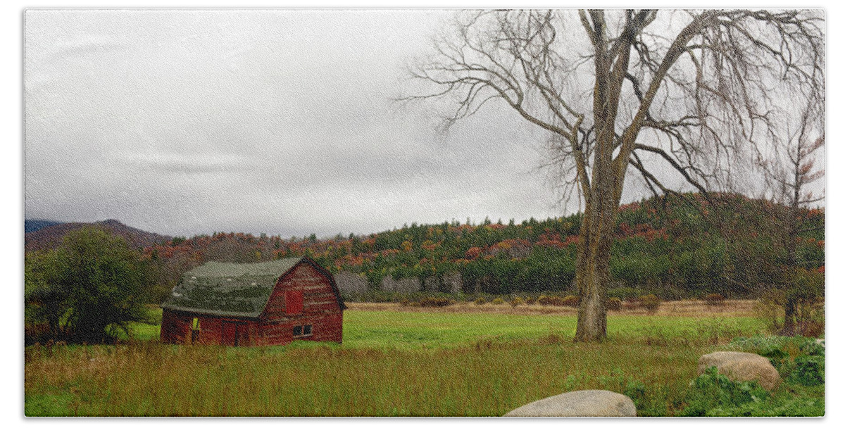 Barn Beach Sheet featuring the photograph The Old Barn with Tree by Nancy De Flon