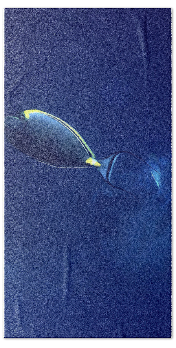 Sea Beach Towel featuring the photograph The Orangespine Unicornfish And The Deep Blue Sea by Johanna Hurmerinta