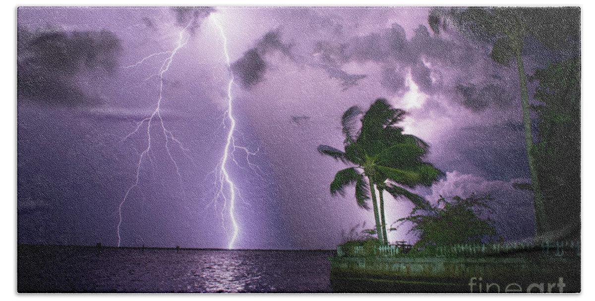 Lightning Beach Towel featuring the photograph The Palms by Quinn Sedam