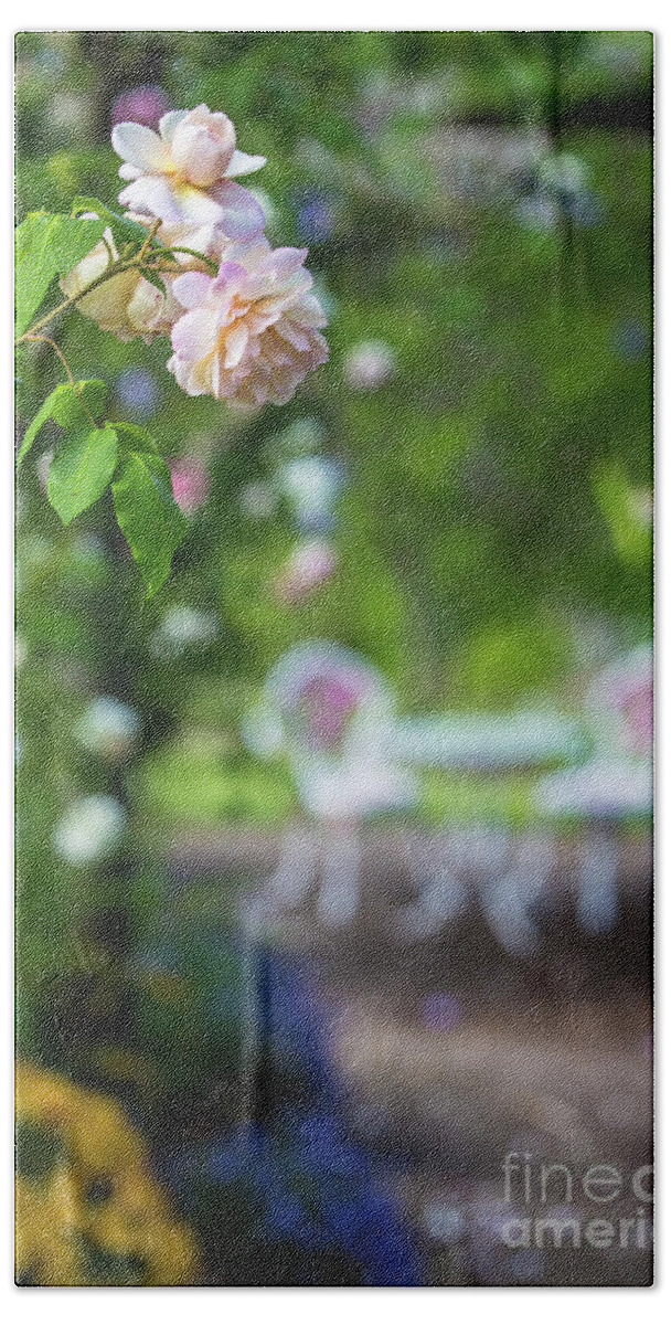 Pink Rose Beach Sheet featuring the photograph The pink rose by Sheila Smart Fine Art Photography