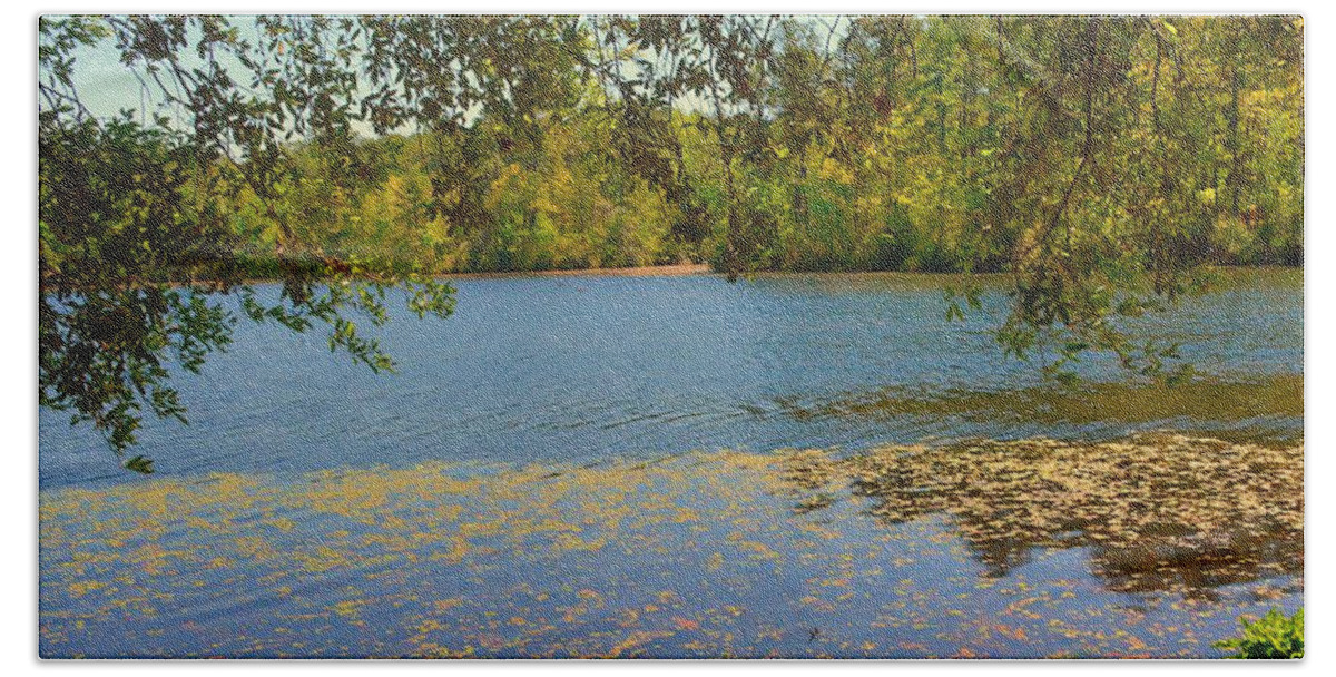 The Pond At Sesquicentennial State Park Beach Towel featuring the photograph The Pond At Sesquicentennial State Park by Lisa Wooten