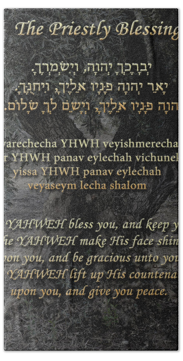 Blessing Beach Towel featuring the photograph The Priestly Blessing Olive Tree by Tikvah's Hope