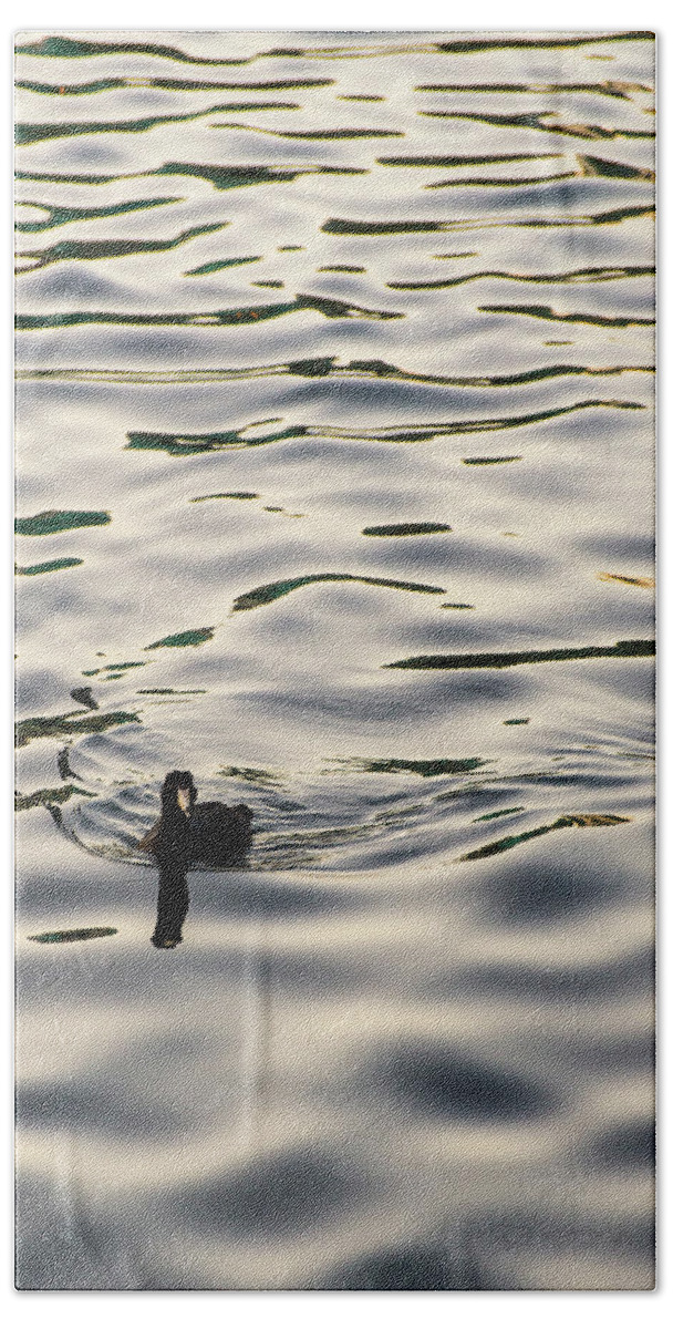 Coot Beach Sheet featuring the photograph The Simple Life by Alex Lapidus
