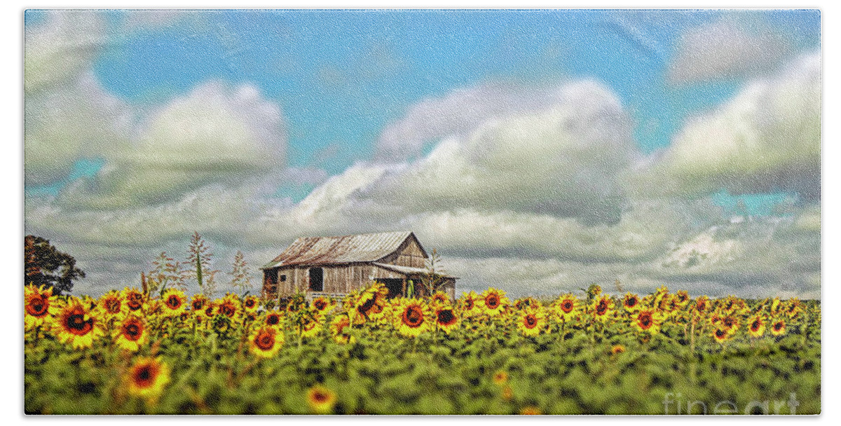 Tiltshift Beach Towel featuring the photograph The Sunflower Farm by Darren Fisher
