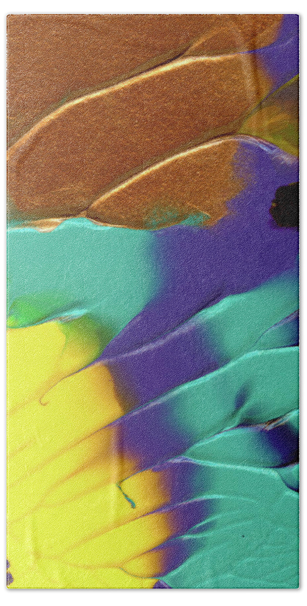 Sunflower Beach Sheet featuring the painting The Sunflower by Nan Bilden