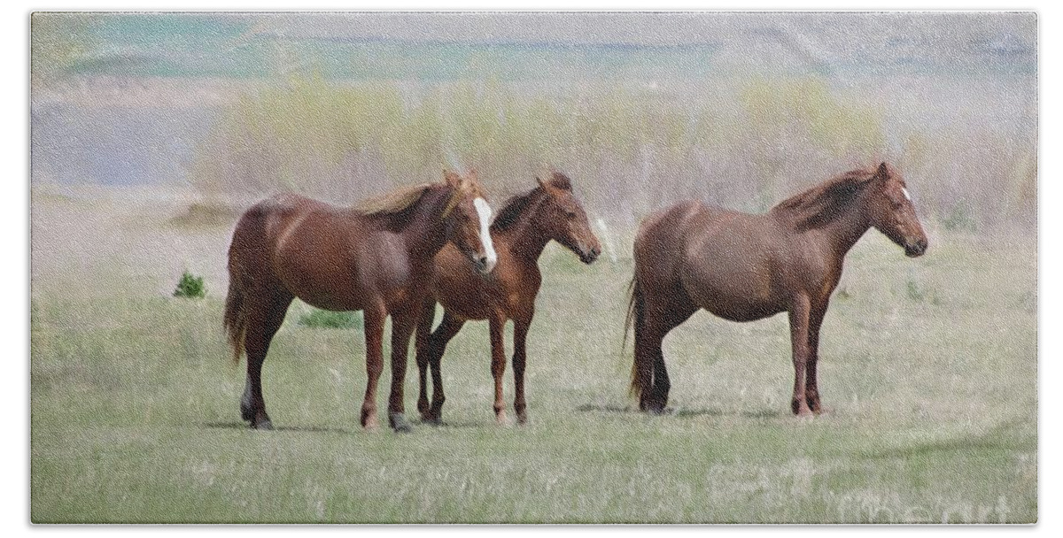 Wild Horses Beach Towel featuring the photograph The Three Amigos by Benanne Stiens
