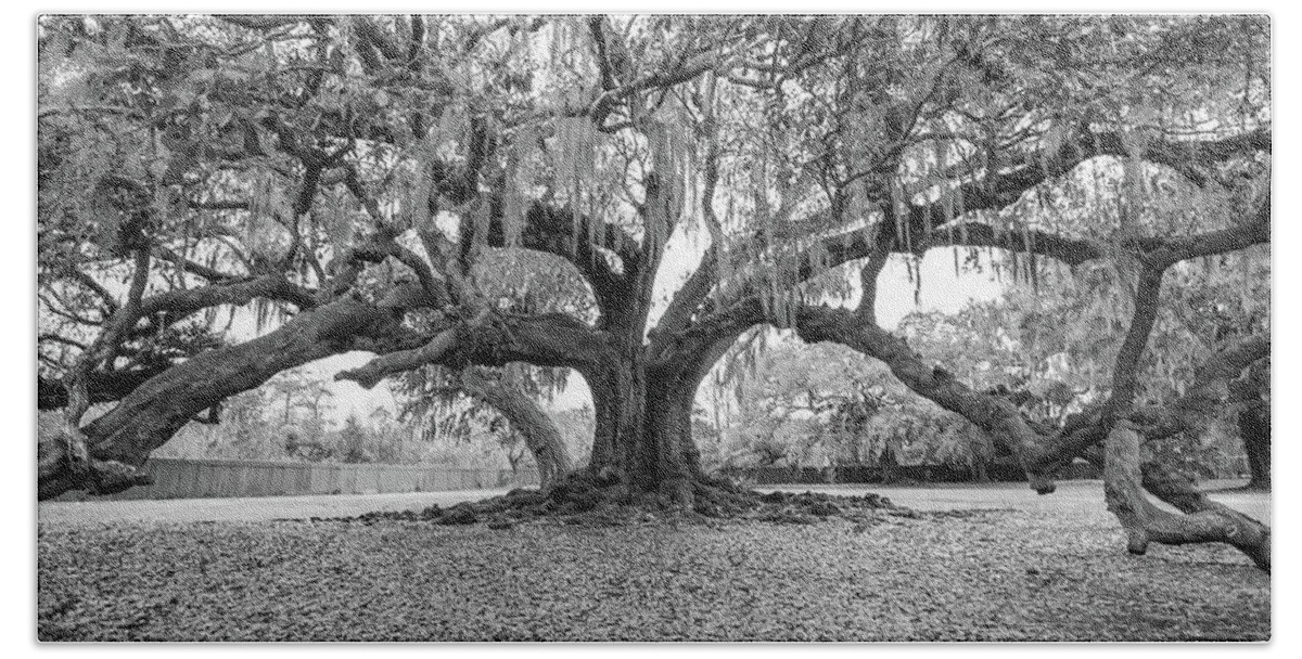 New Orleans Beach Towel featuring the photograph The Tree of Life monochrome by Steve Harrington