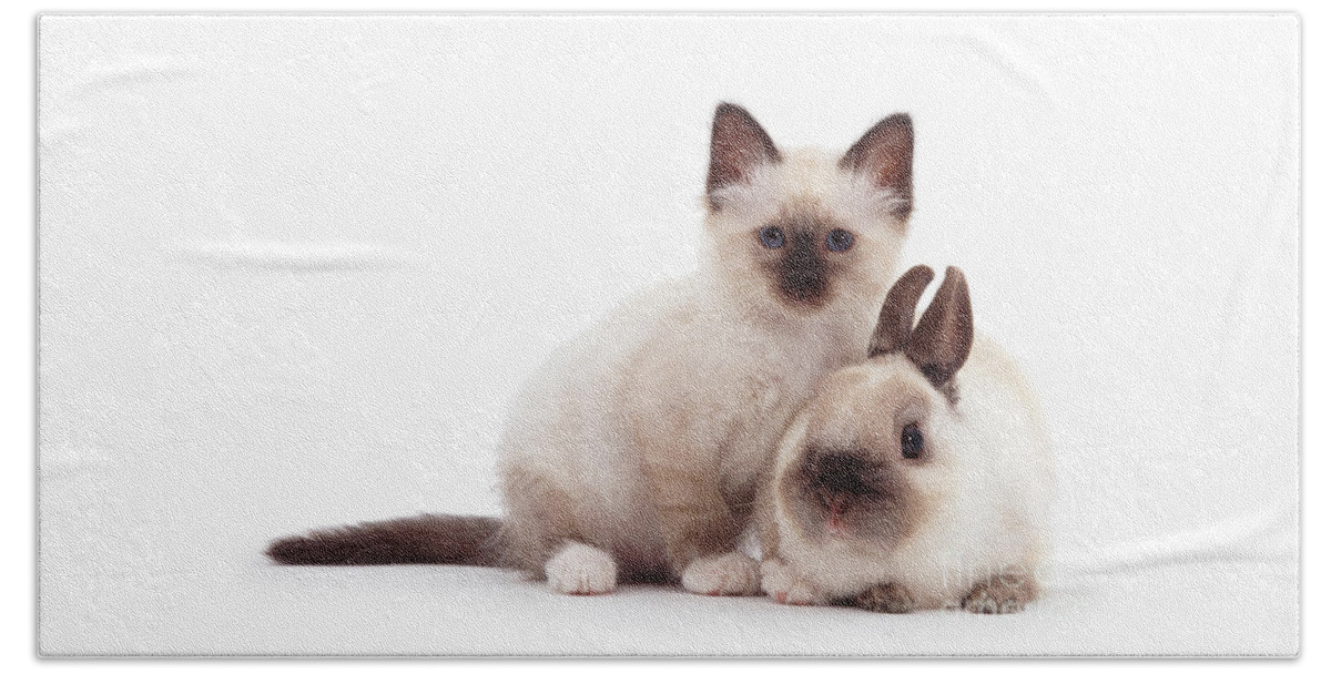 Netherland Dwarf Beach Towel featuring the photograph The Twins by Warren Photographic