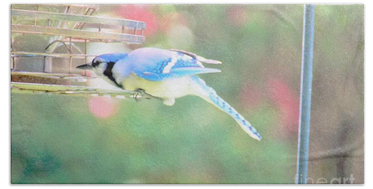 Blue Jay Beach Towel featuring the photograph Think it Through by Merle Grenz