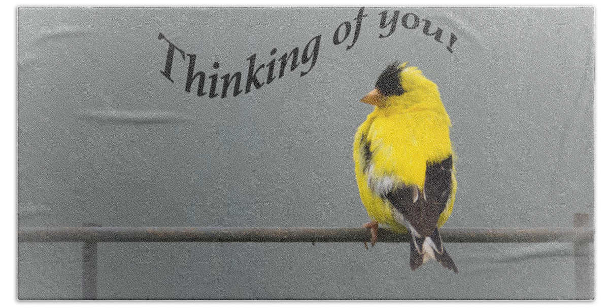Thinking Of You Beach Towel featuring the photograph Thinking of you - American Goldfinch by Holden The Moment