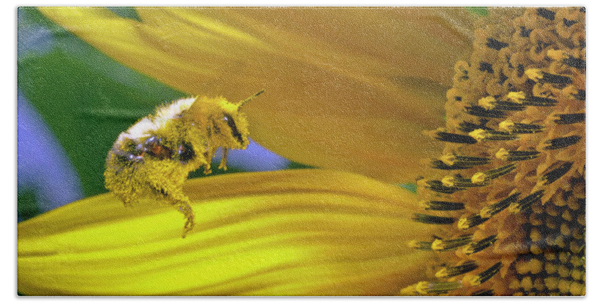 Bee Beach Towel featuring the photograph This bee needs a bath by David Freuthal
